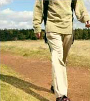 برای سالم ماندن پیاده‌روی طولانی مفیدتر از تمرینات ورزشی سنگین است