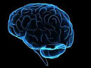 مدیریت فعال‌سازی دو نیمکره مغز