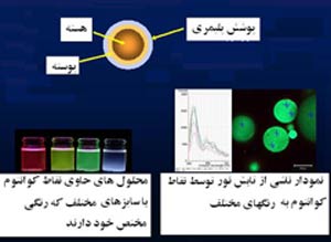 دلایل از دست رفتن آب بدن چیست؟