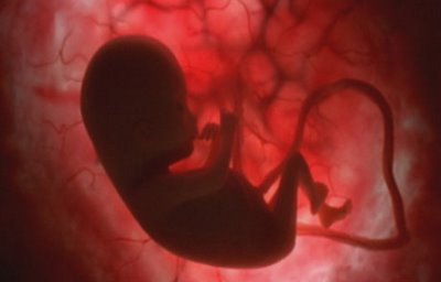 خون سازی در دوران جنینی