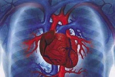 چگونه قلب سالم دچارمرگ های ناگهانی می شود