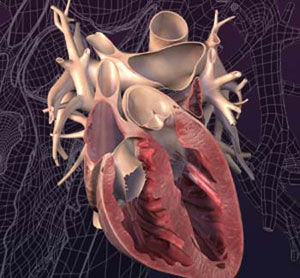 نشانه‌های نارسایی قلبی در فرد چیست؟