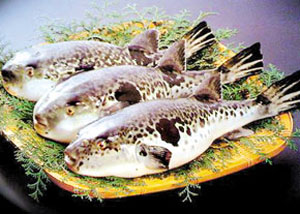 مسمومیت ناشی از مصرف ماهی