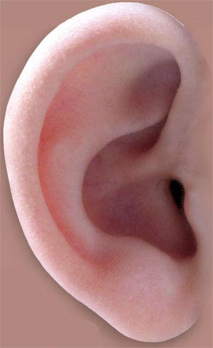 ۱۴ اشتباه رایج درباره گوش‌ها