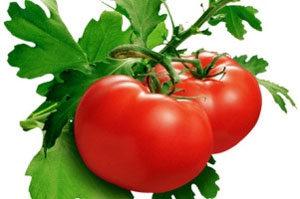 ۱۰ دلیل برای مصرف گوجه‌فرنگی