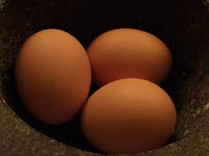 مصرف تخم مرغ مفید است یا مضر؟