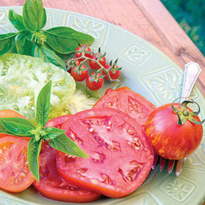 مصرف گوجه فرنگی همراه با غذا به جذب آهن کمک می کند