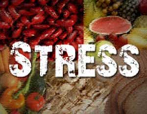 کدام غذاها استرس را کم می کنند؟