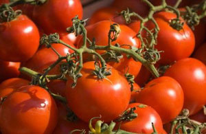 خواص درمانی گوجه فرنگی