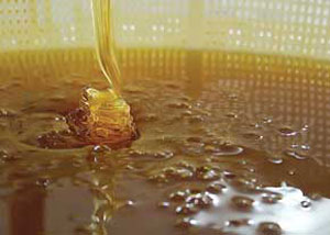 ارزش تغذیه‌ای عسل‌های تک‌گل