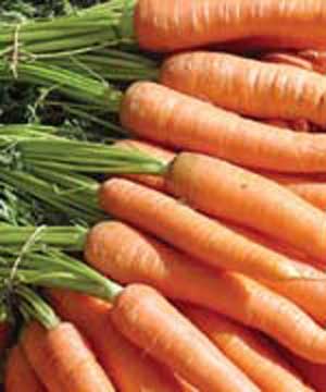 مصرف هویج خام وزن را کاهش می‌دهد