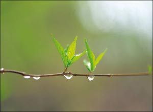 ابراز همدردی