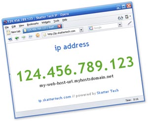 IP چیست ؟