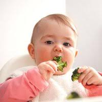 تغذیه زودتر از موعد برای نوزادان خوب است یا بد؟