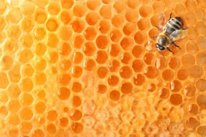 هشت کاربرد عسل در زیبا شدن