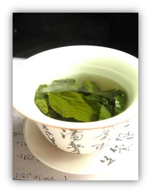 کرم چای سبز