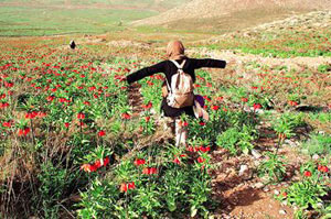 دختران خوب به آسمان میروند؛ دختران بد به همه جا