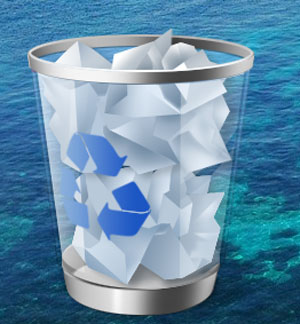 عبور از Recycle Bin