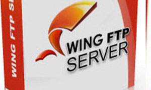 راه اندازی اف تی پی سرور با Wing FTP Server Corporate Edition ۳.۹.۰