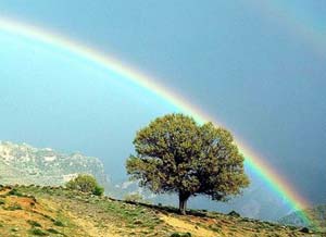 بررسی کمانی شکل بودن رنگین کمان