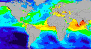 محققان سلامت اقیانوس ها را در خطر دیدند!