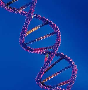 تعیین احتمال بروز بیماری های ژنتیکی