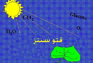 فتوسنتز بدون نور خورشید