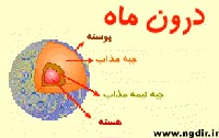 مویرگ و رشته عصبی موجود در دست انسان