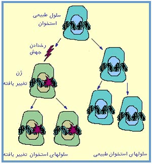 جهش های اکتسابی