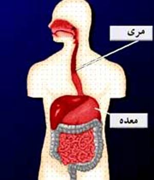 آسیب شناسی انتخاباتی