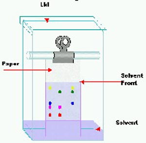 کروماتوگرافی لایه نازک  (TLC)