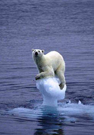 فاجعه ای به نام آب شدن یخهای قطب