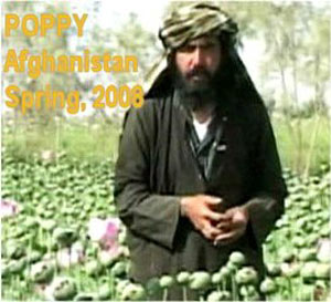 ۱۳ دسامبر ـ گسترش تولید تریاک افغانستان پس از طرد طالبان از حکومت- یک مولف آمریکایی از بی توجهی واشنگتن به مبارزه با تریاک ابراز تعجب کرده است