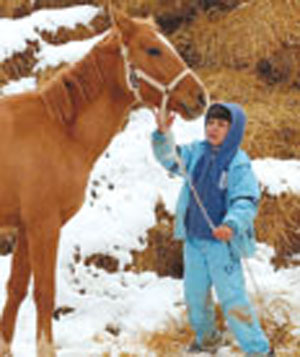 اسکی، اسب عاقل و خواب زمستانی