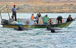 مردمانی با پیشه گردشگری