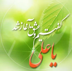 عشق آغاز شد...