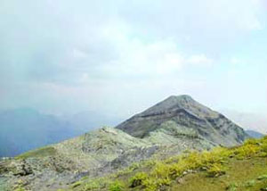 روستای افجه