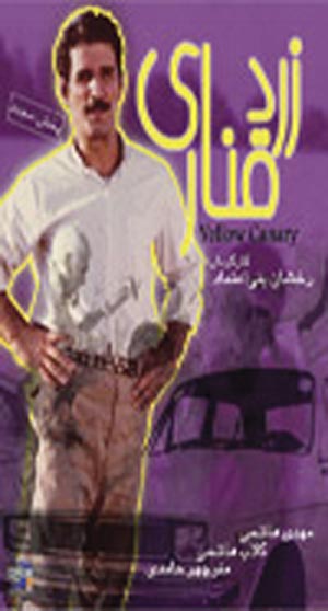 زرد قناری