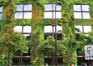 رویش سبز در دیوارهای شهر