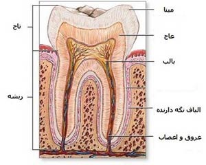 آفات دین مداران