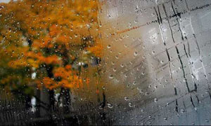 باران پاییزی