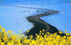 جشنواره شکاف دریا در کره جنوبی