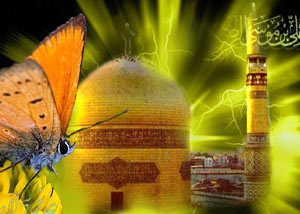 یا امام رضا(ع)