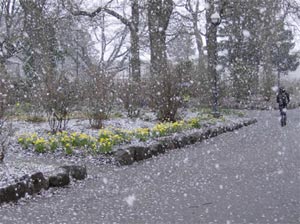 جای پای برفی