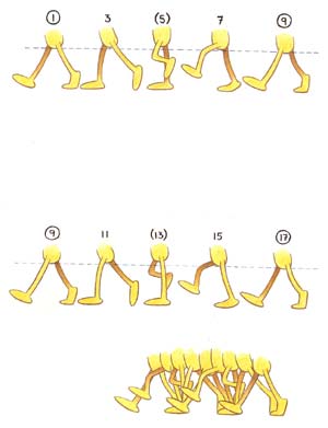 جعبه سفید درب‌دار