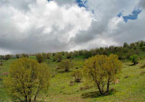 آشنایی با روستای دشه - کرمانشاه