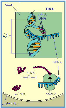 آموزش تزیین ظروف با نخ گونی