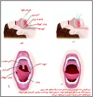 ۲ مرداد ـ ۲۴ جولای ـ حقیقت نگار دانماركی