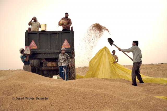 
      تیرار دم، گذری بر یکی از آئین های کشاورزی مردم خوزستان