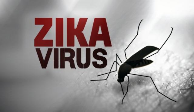 
      همه چیز در مورد ویروس زیکا در ده پرسش